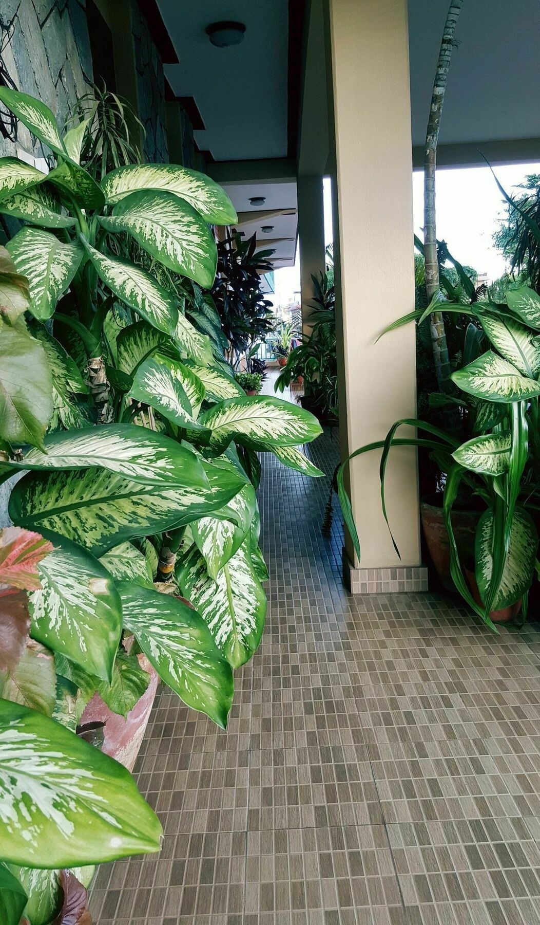 Nanohana Lodge Покхара Екстер'єр фото